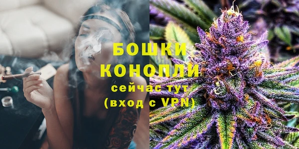 МДПВ Артём