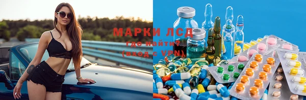 прущие грибы Ачинск