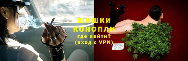прущие грибы Ачинск