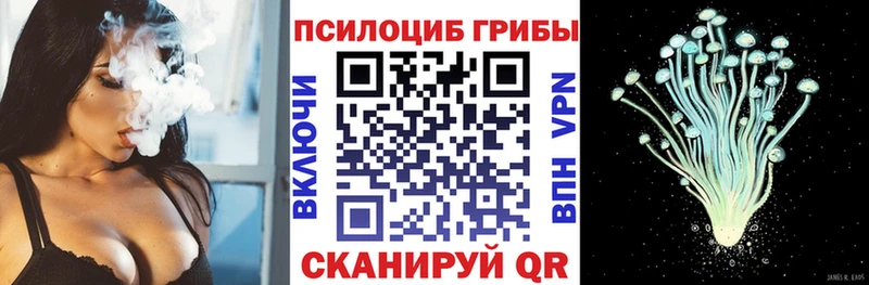 Галлюциногенные грибы Psilocybine cubensis  Купить где  Иланский 