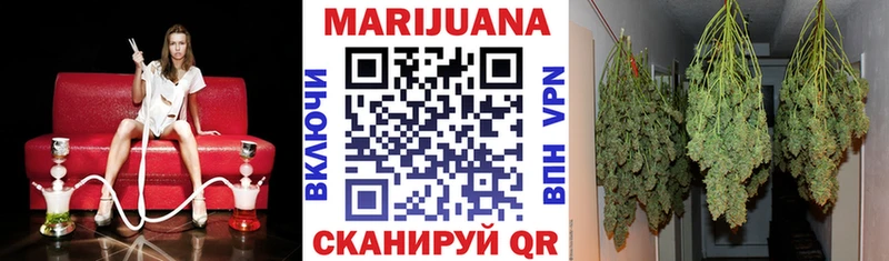 Бошки марихуана OG Kush  Купить где  Иланский 